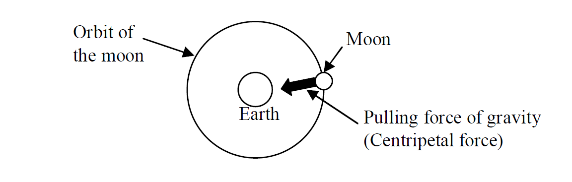 Centripetal force