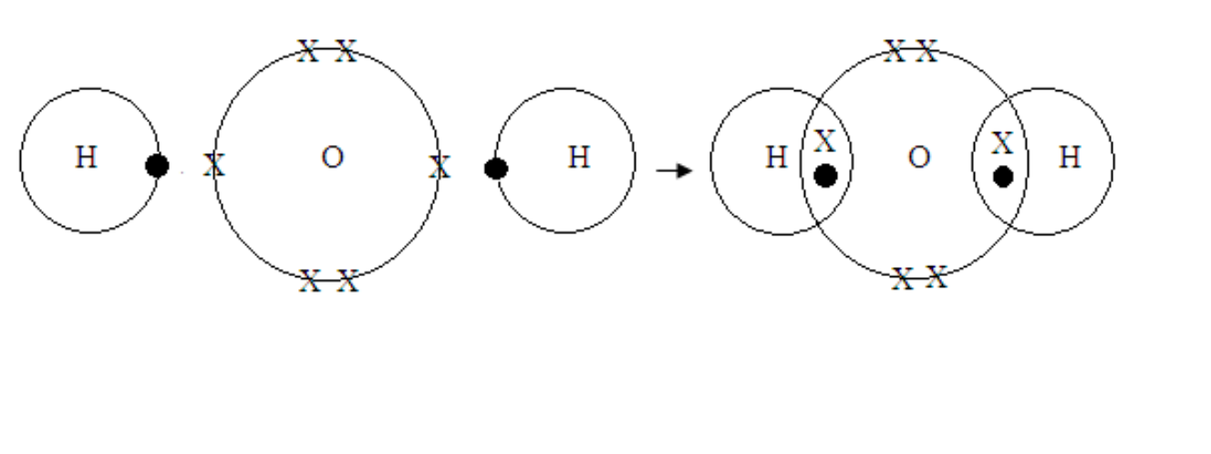 covalent bond water